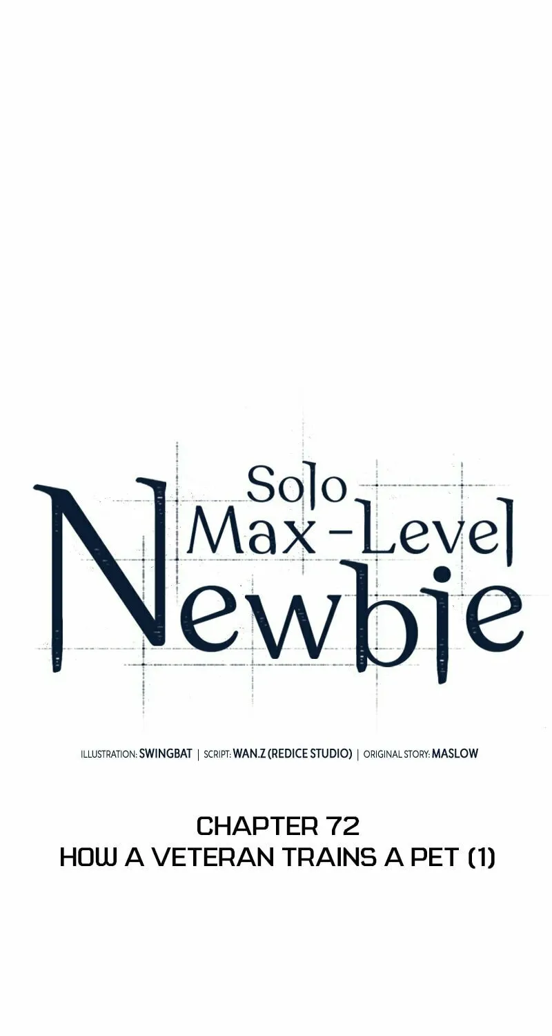 I’m the Max-Level Newbie Chapter 72 page 37 - 