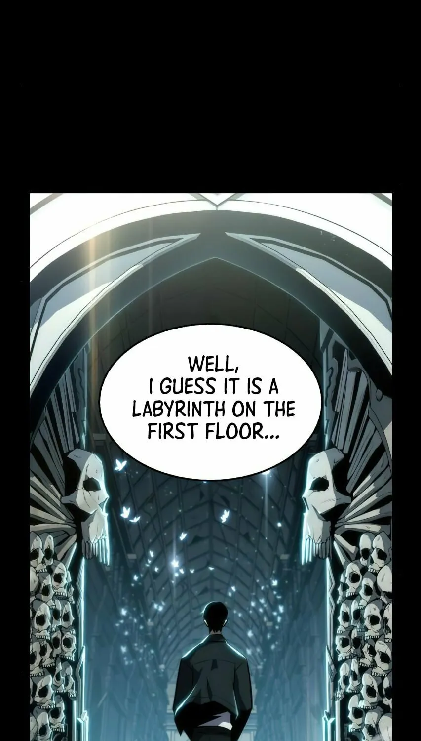 I’m the Max-Level Newbie Chapter 9 page 116 - 