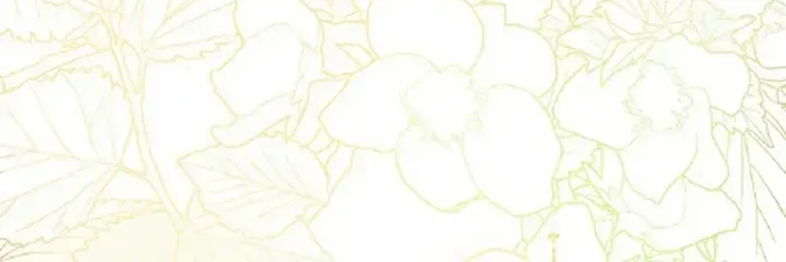 I’m The Princess of All Chapter 36 page 67 - 
