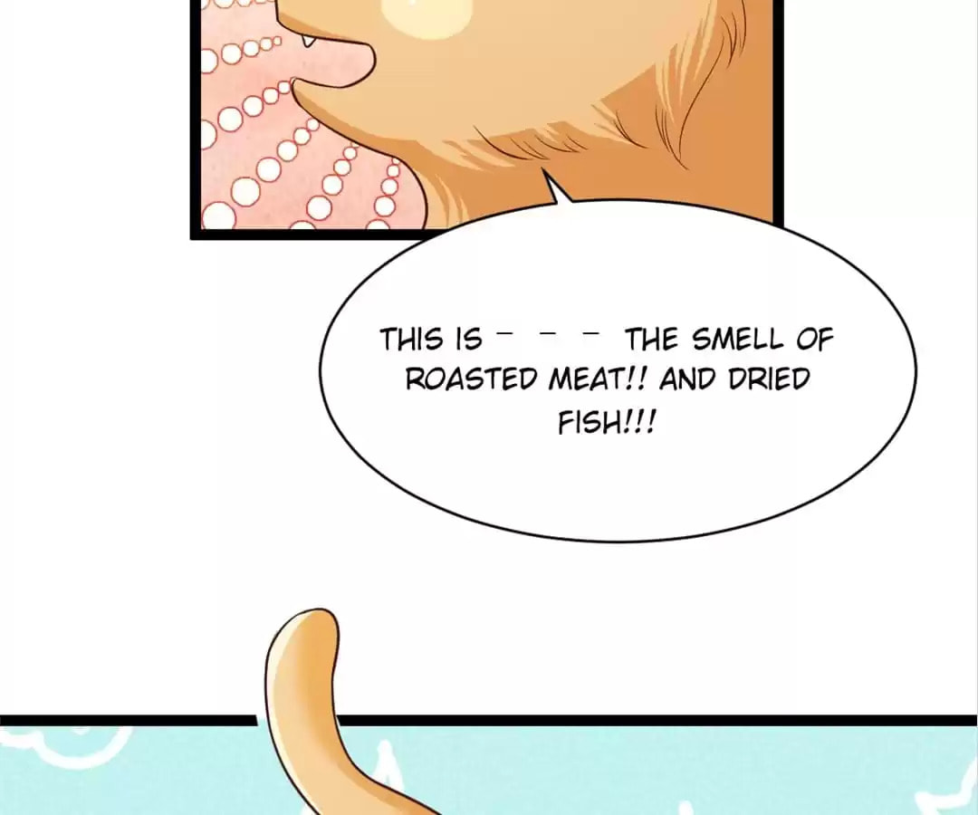 Immortal Demon Dad Chapter 35 page 104 - 