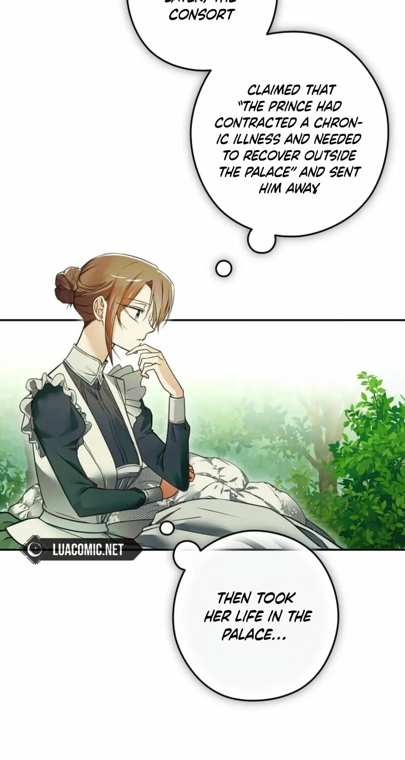 Imperial Maid Chapter 10 page 24 - 