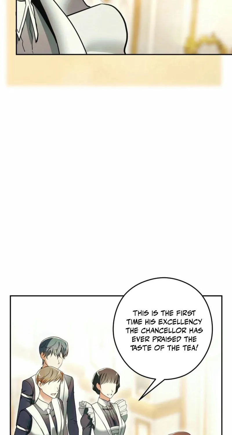 Imperial Maid Chapter 11 page 17 - 