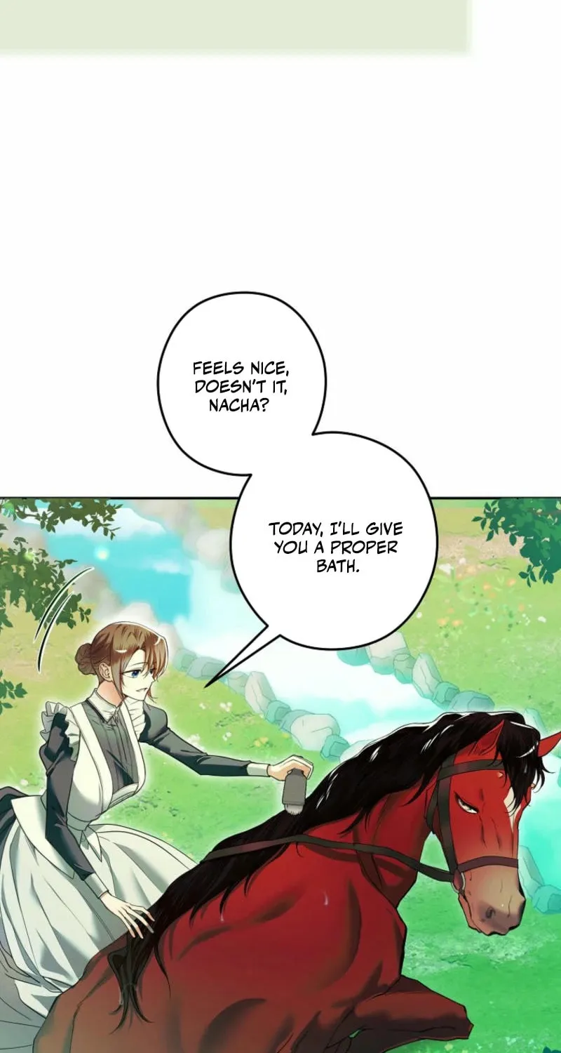 Imperial Maid Chapter 12 page 8 - 
