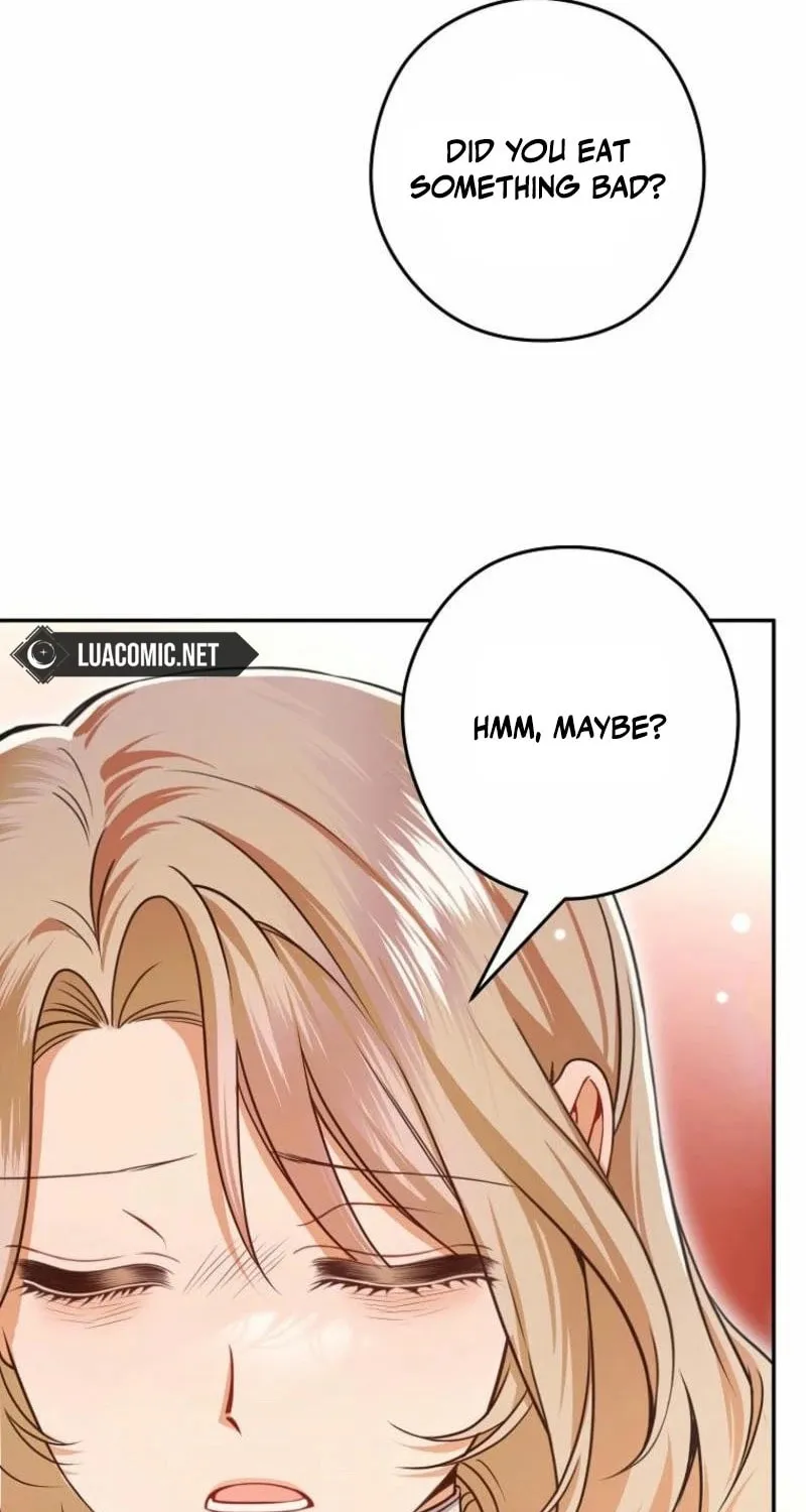 Imperial Maid Chapter 14 page 27 - 