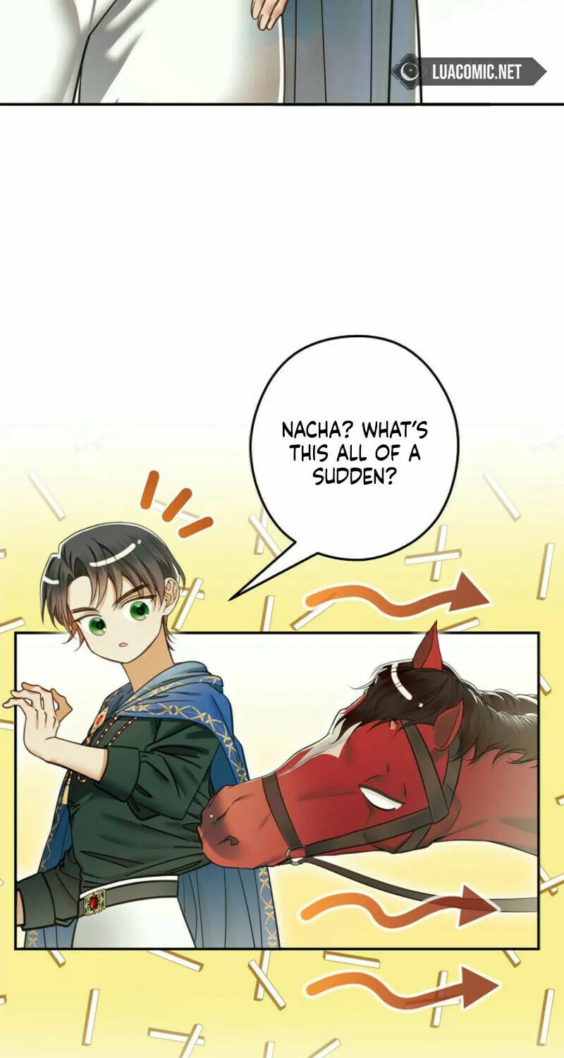 Imperial Maid Chapter 15 page 43 - 
