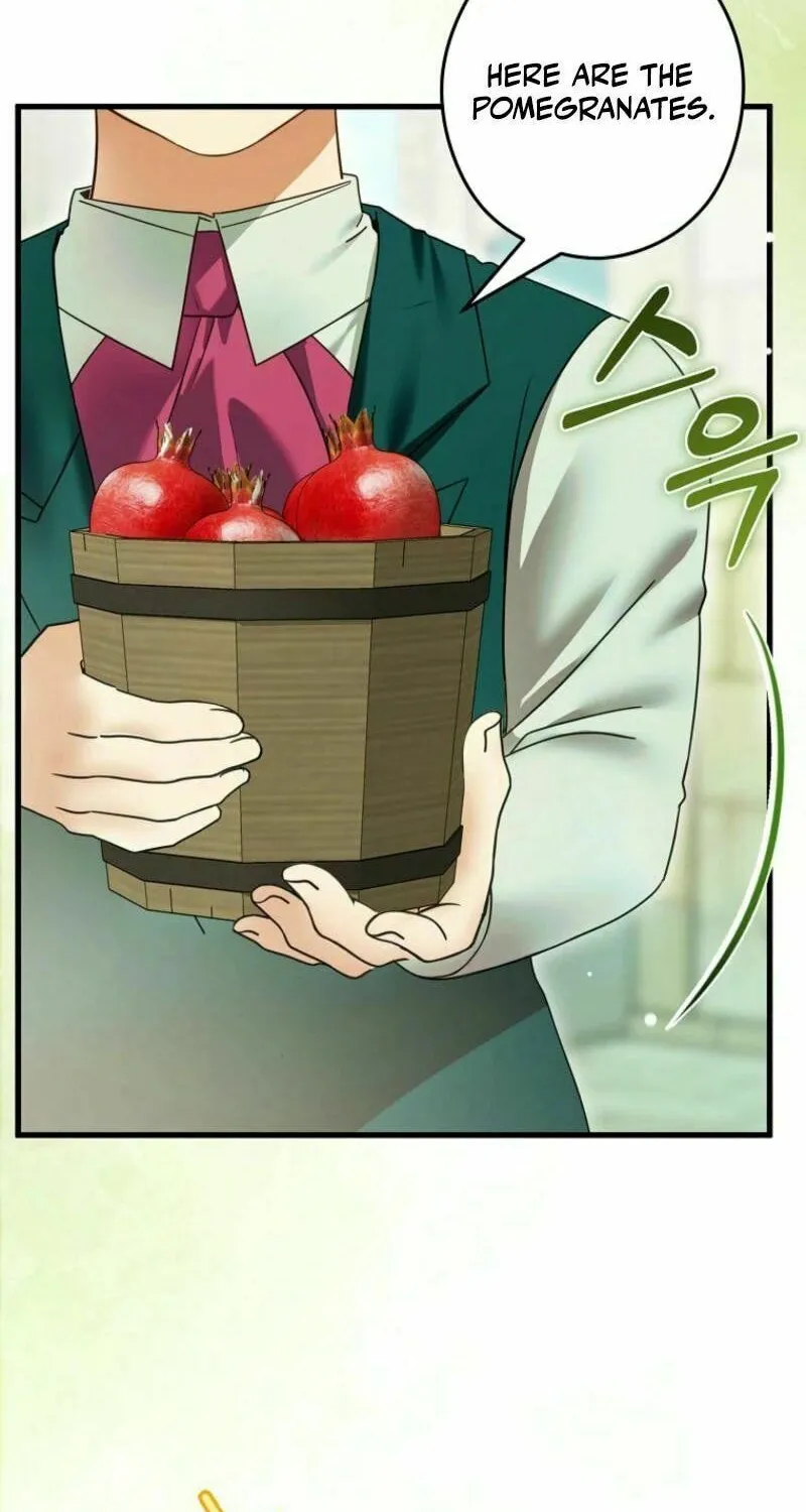 Imperial Maid Chapter 18 page 74 - 