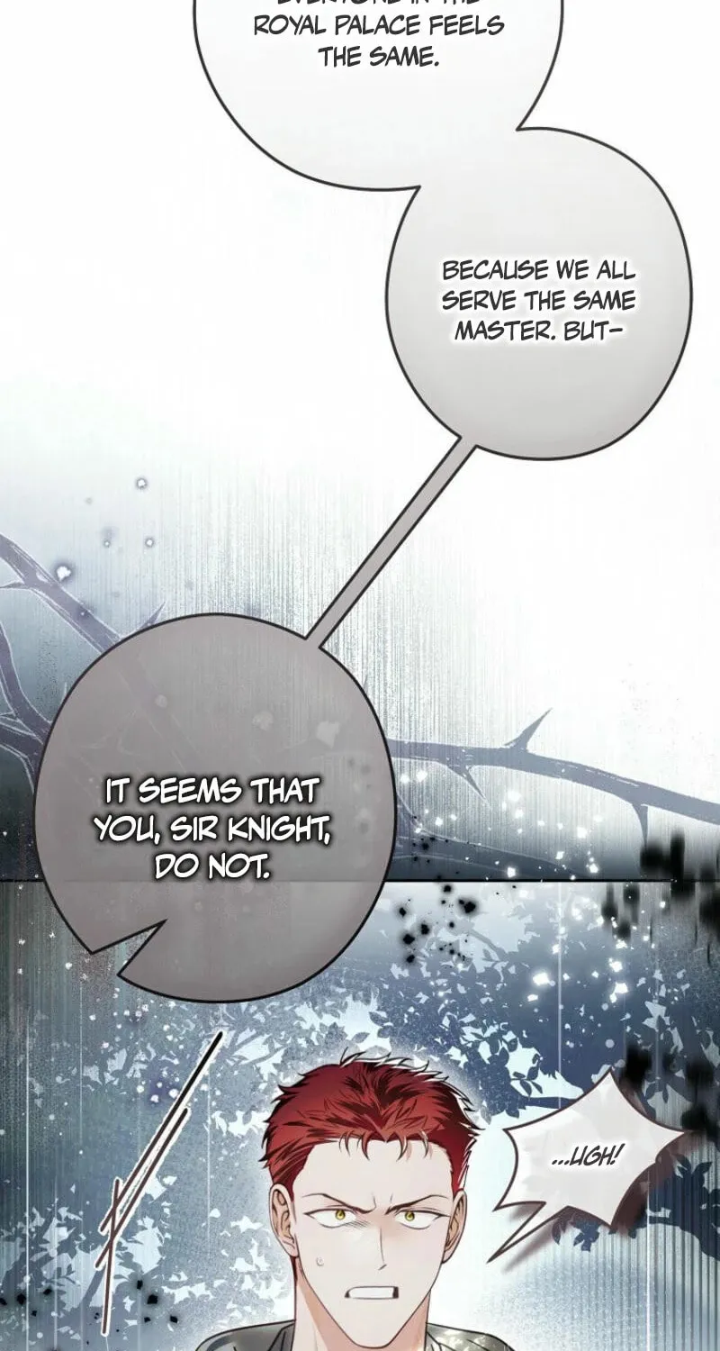 Imperial Maid Chapter 24 page 24 - 