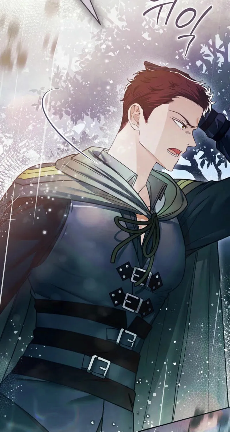 Imperial Maid Chapter 24 page 29 - 