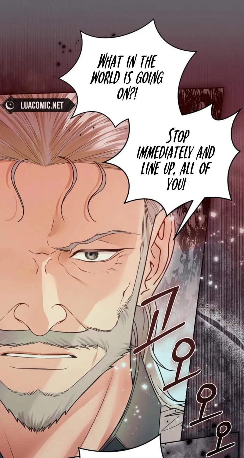 Imperial Maid Chapter 25 page 14 - 