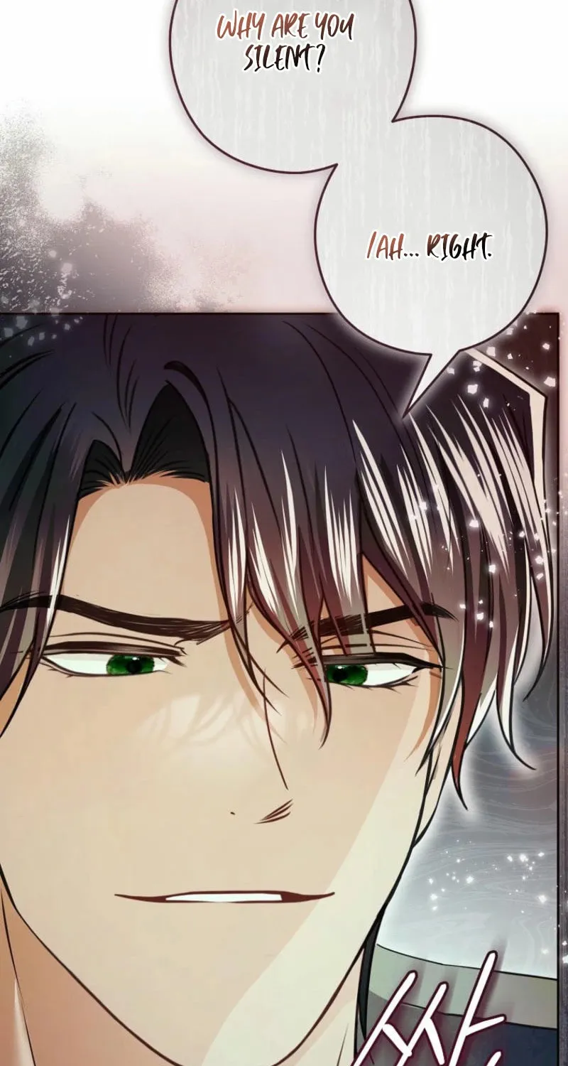 Imperial Maid Chapter 25 page 27 - 