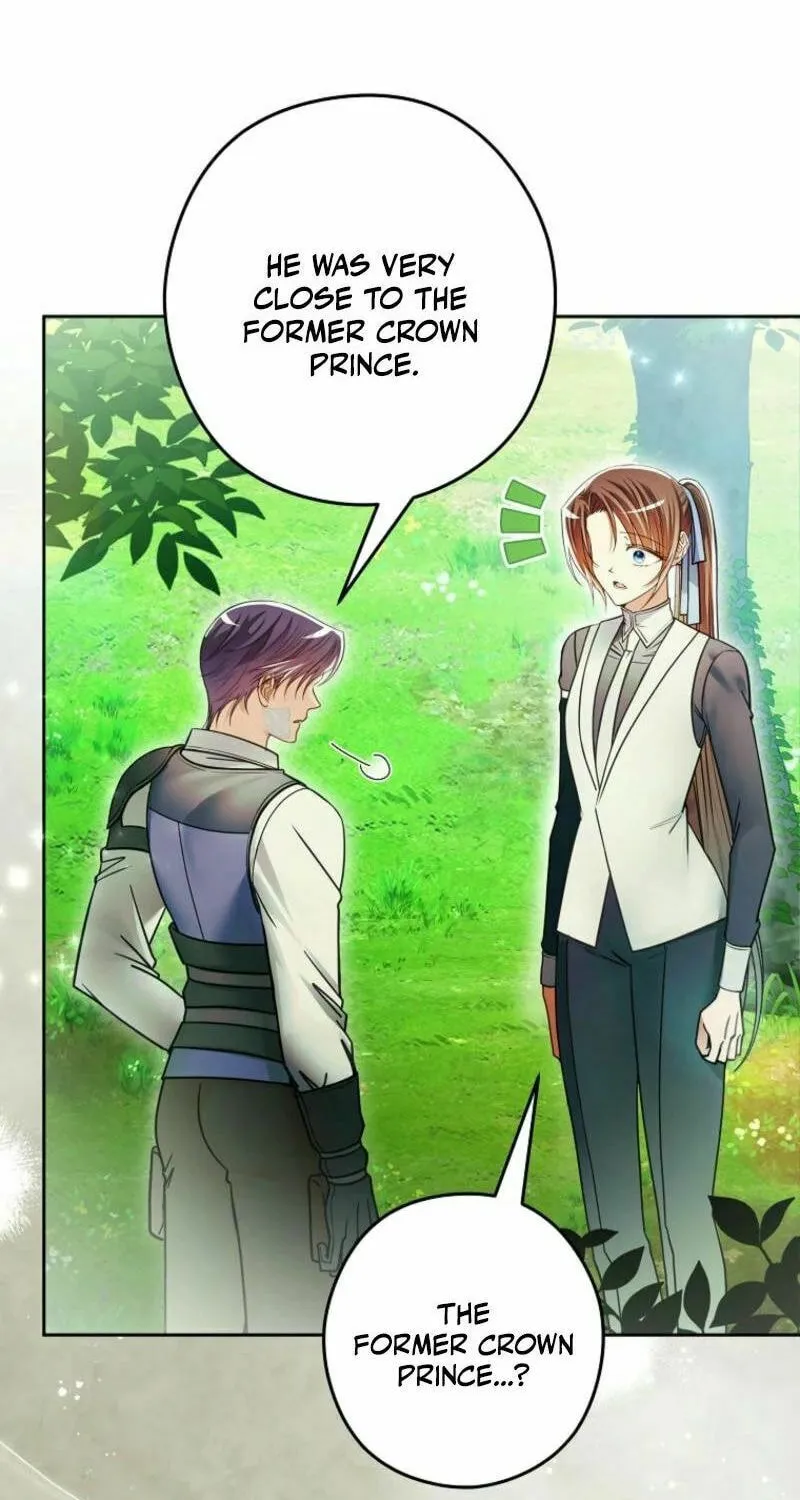 Imperial Maid Chapter 26 page 27 - 