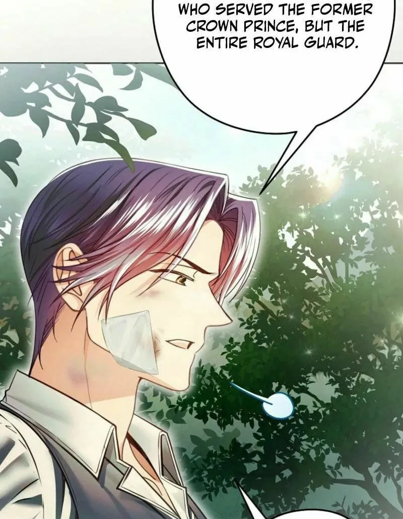 Imperial Maid Chapter 26 page 30 - 