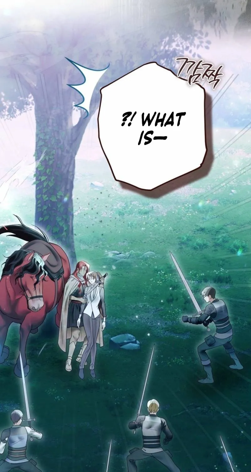 Imperial Maid Chapter 32 page 46 - 