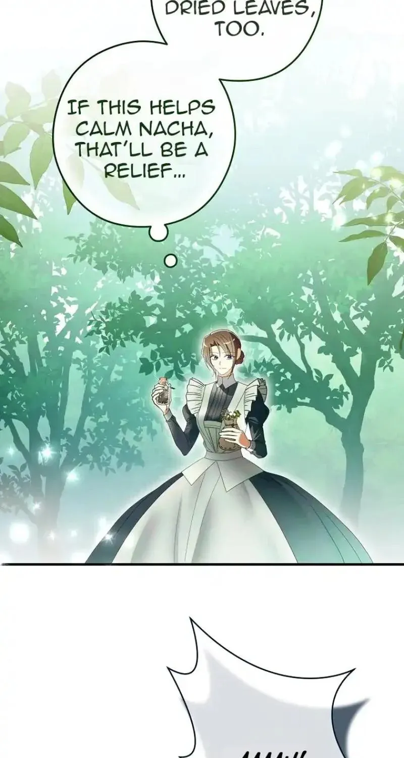 Imperial Maid Chapter 5 page 116 - 