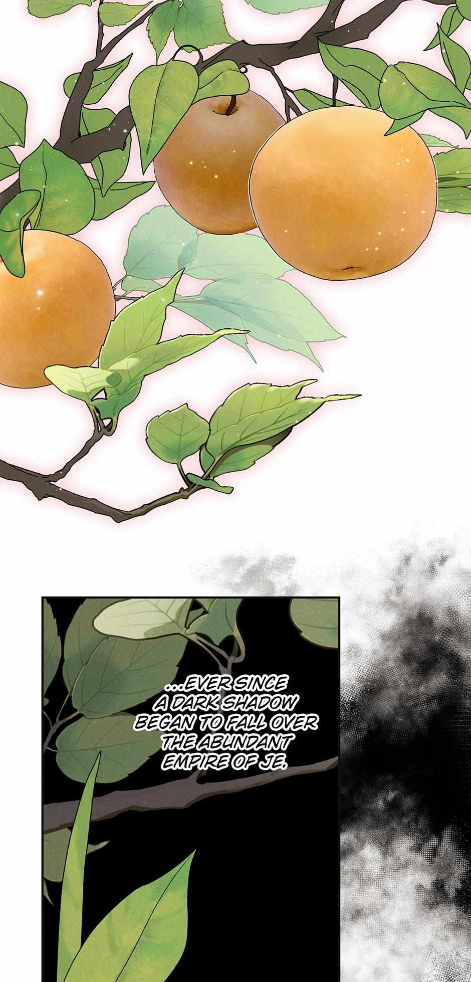 Imperial Marriage Chapter 13 page 11 - 
