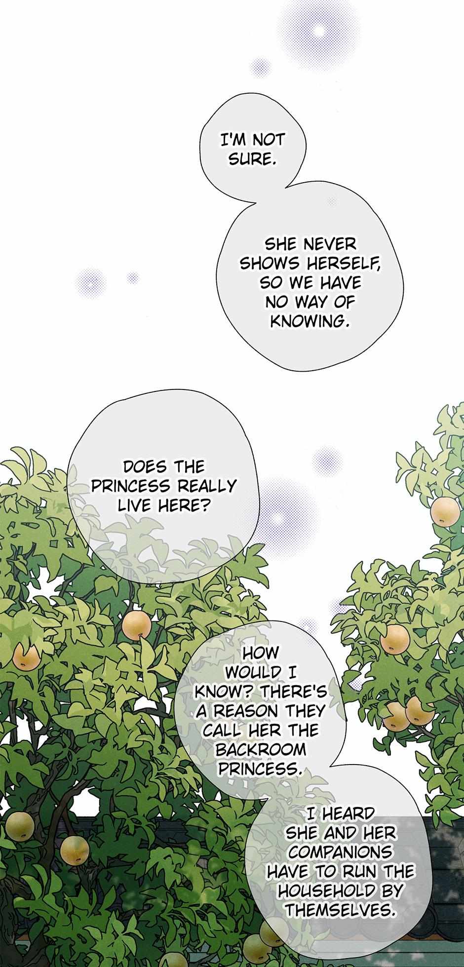 Imperial Marriage Chapter 14 page 12 - 