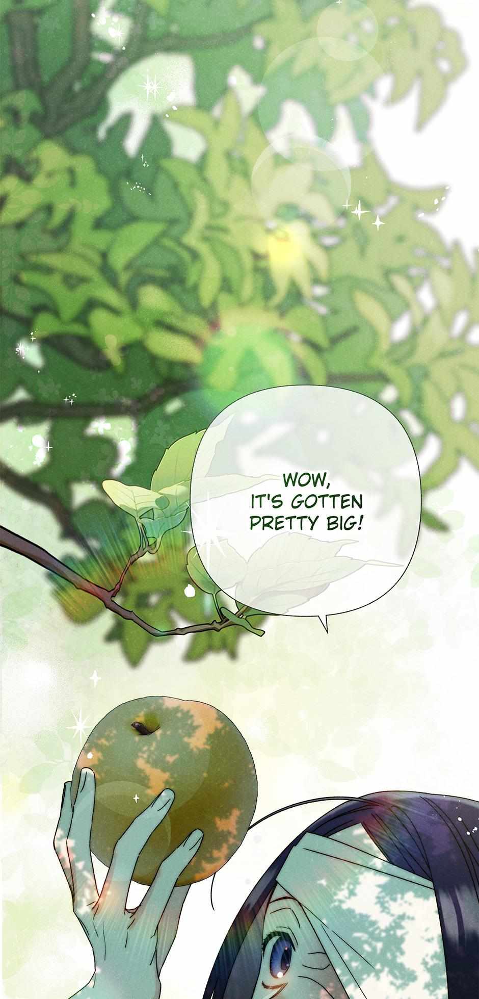 Imperial Marriage Chapter 14 page 5 - 