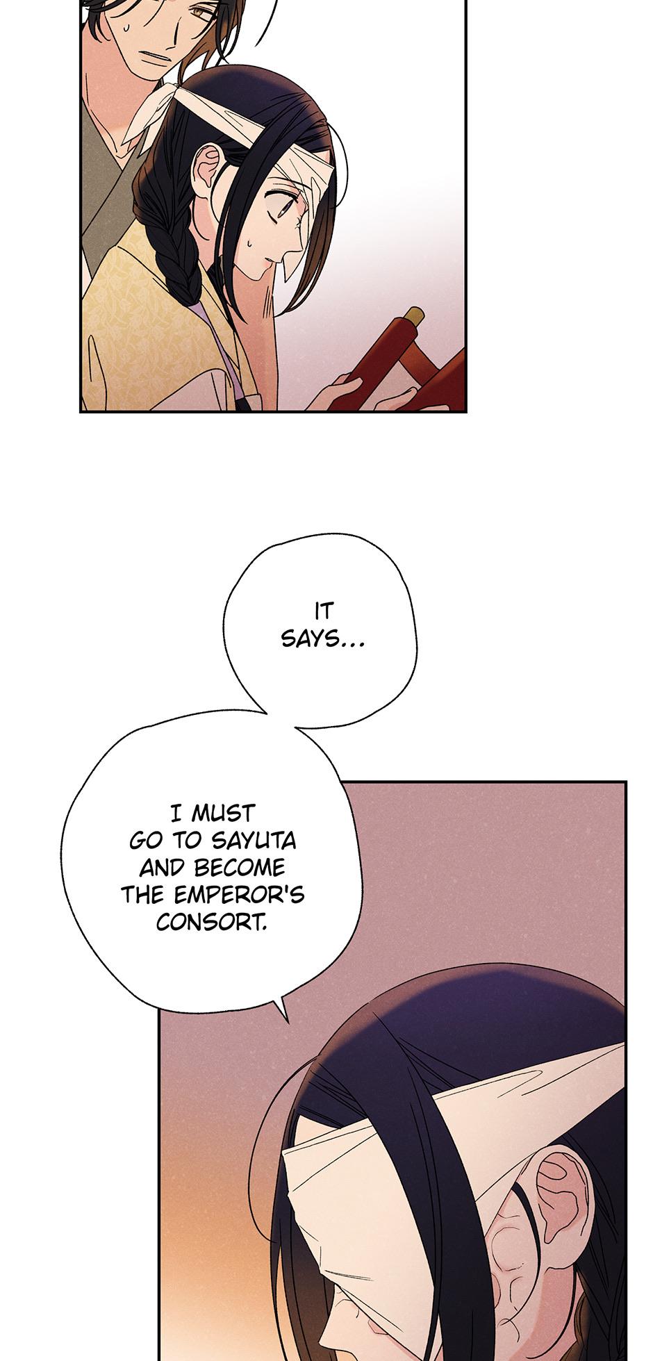 Imperial Marriage Chapter 17 page 47 - 