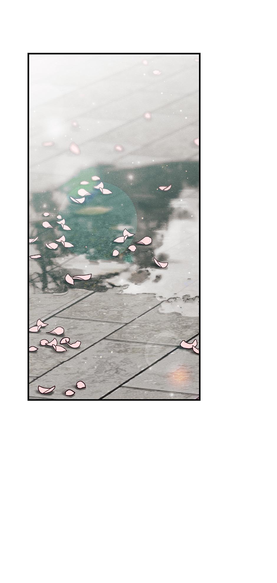 Imperial Marriage Chapter 29 page 70 - 
