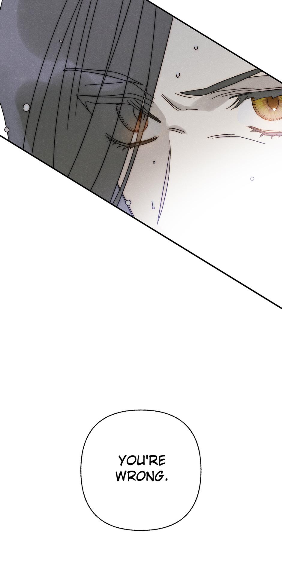 Imperial Marriage Chapter 36 page 29 - 