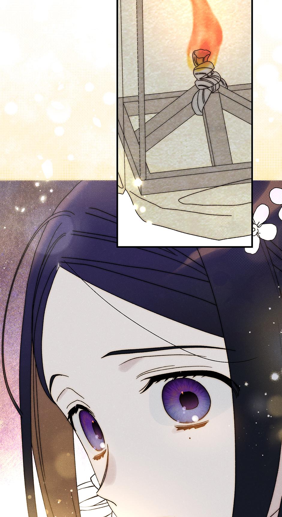 Imperial Marriage Chapter 37 page 51 - 
