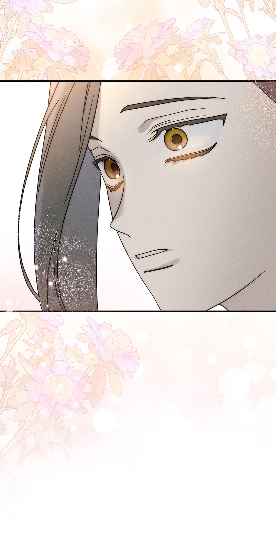 Imperial Marriage Chapter 38 page 62 - 
