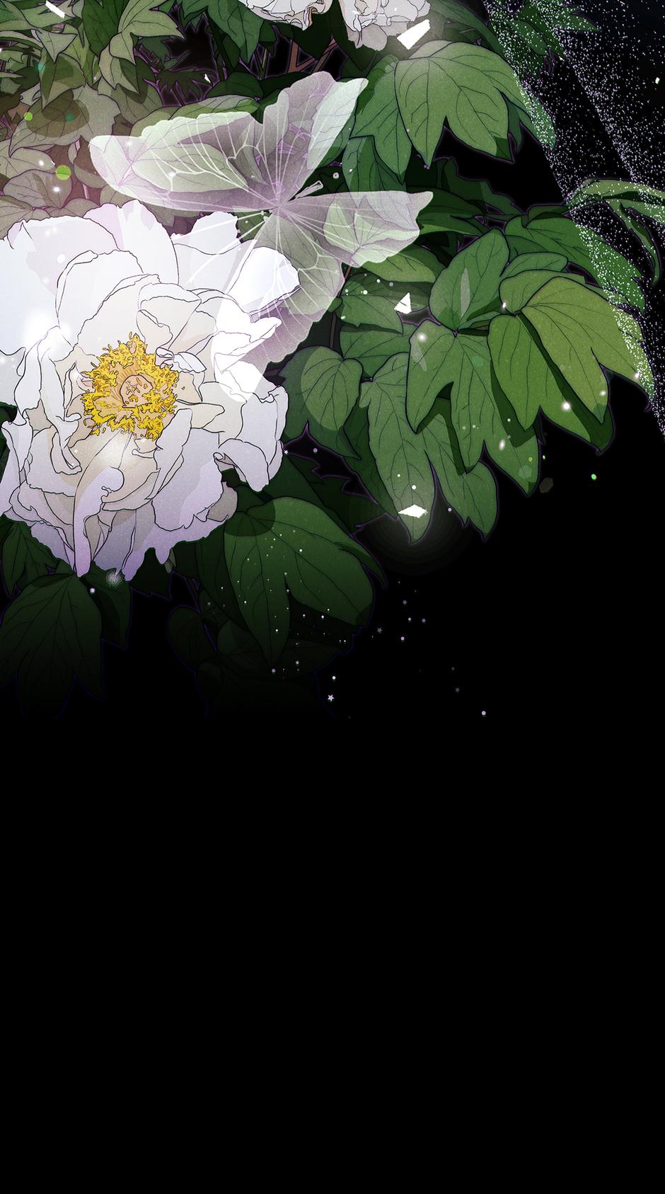 Imperial Marriage Chapter 51 page 79 - 