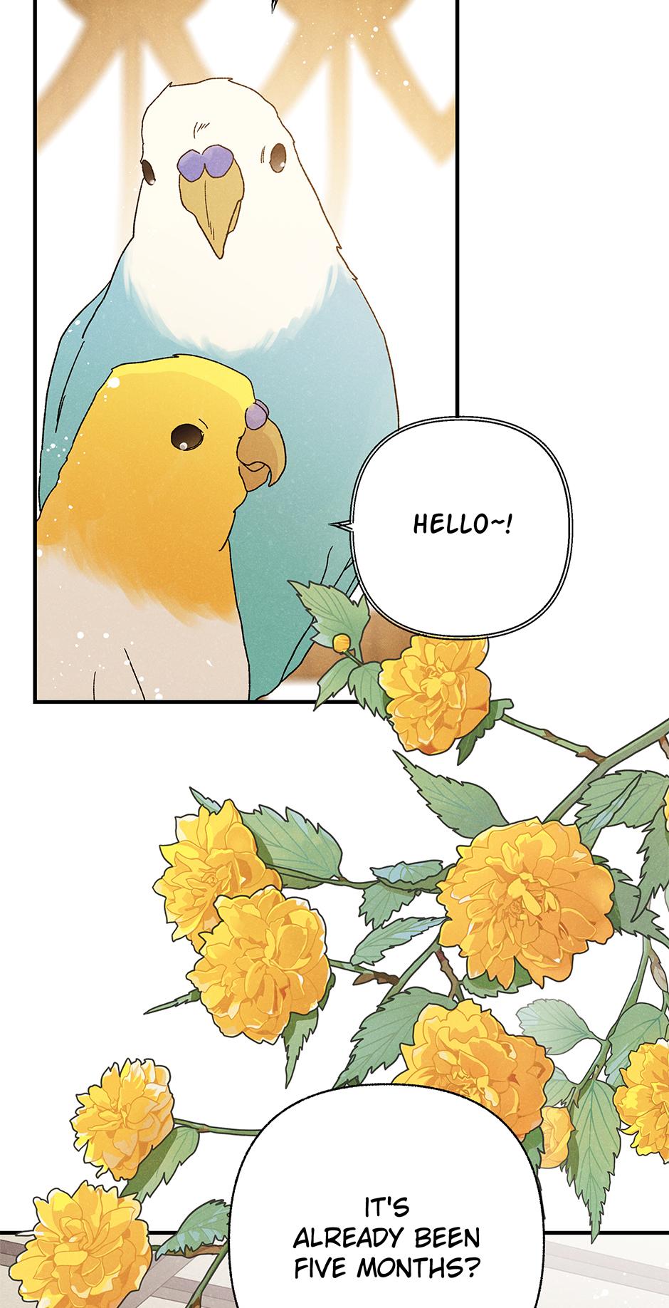 Imperial Marriage Chapter 57 page 46 - 