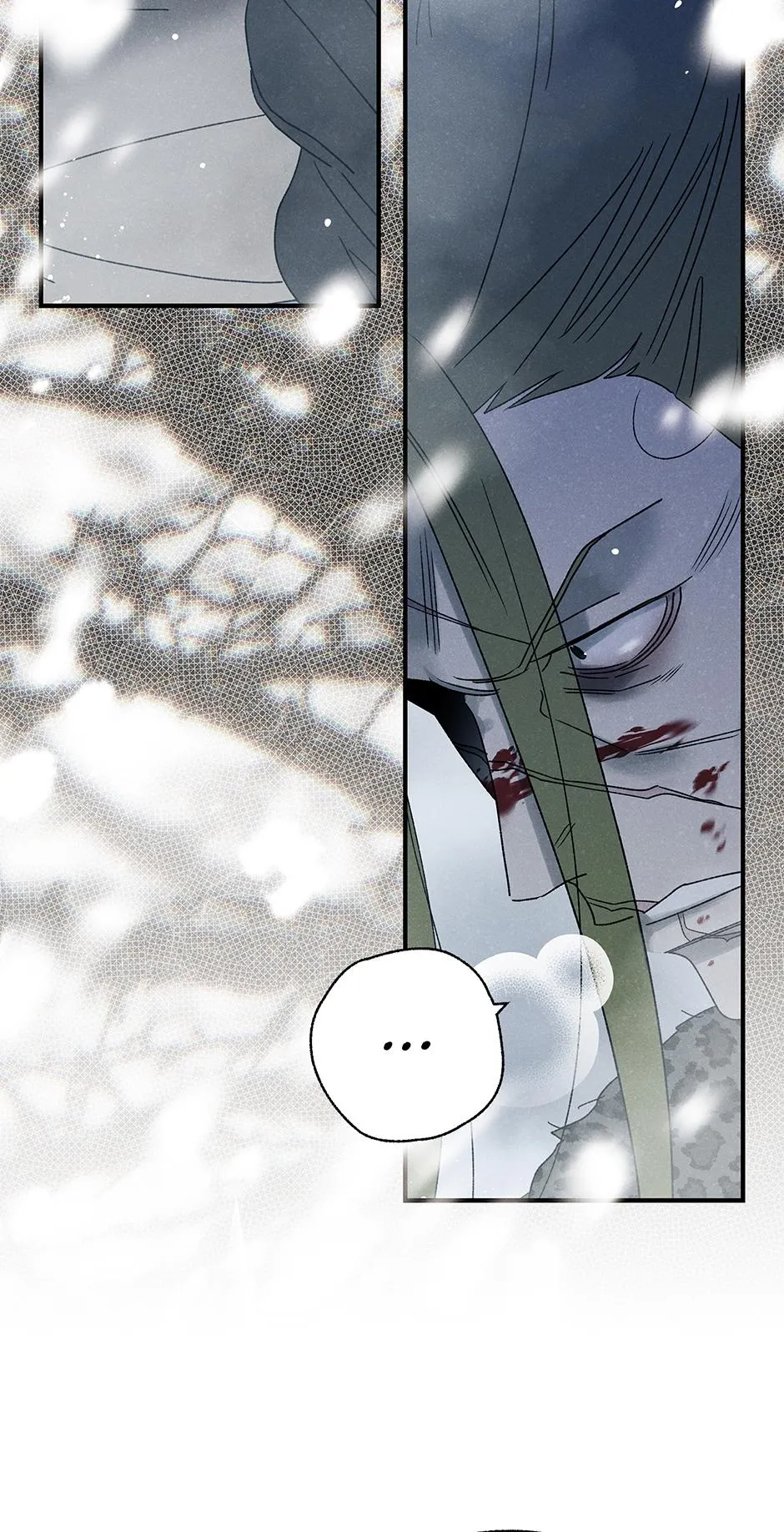 Imperial Marriage Chapter 68 page 14 - 