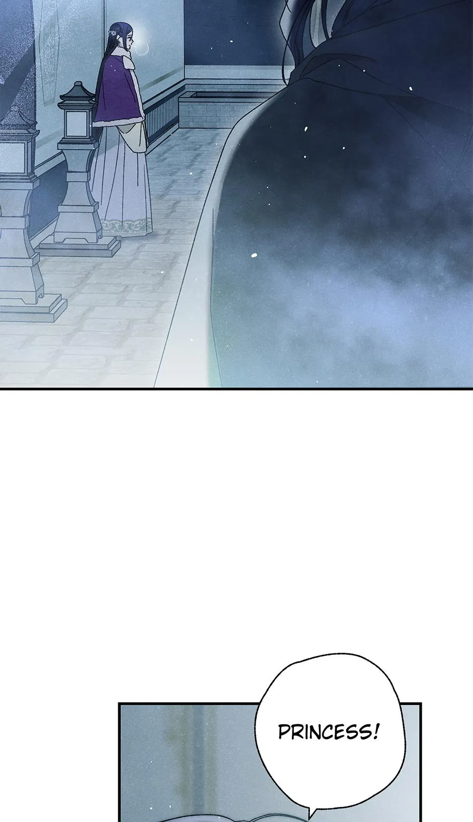 Imperial Marriage Chapter 71 page 13 - 