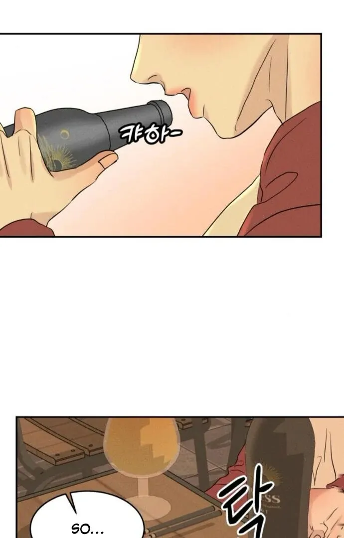 Impure Love Chapter 13 page 64 - 