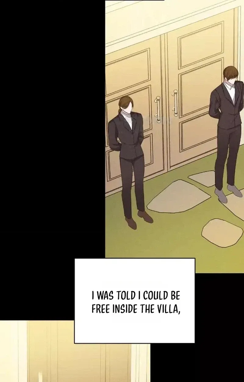 In an Attempt to Get Revenge, I Seduced My Husband Chapter 47 page 76 - 
