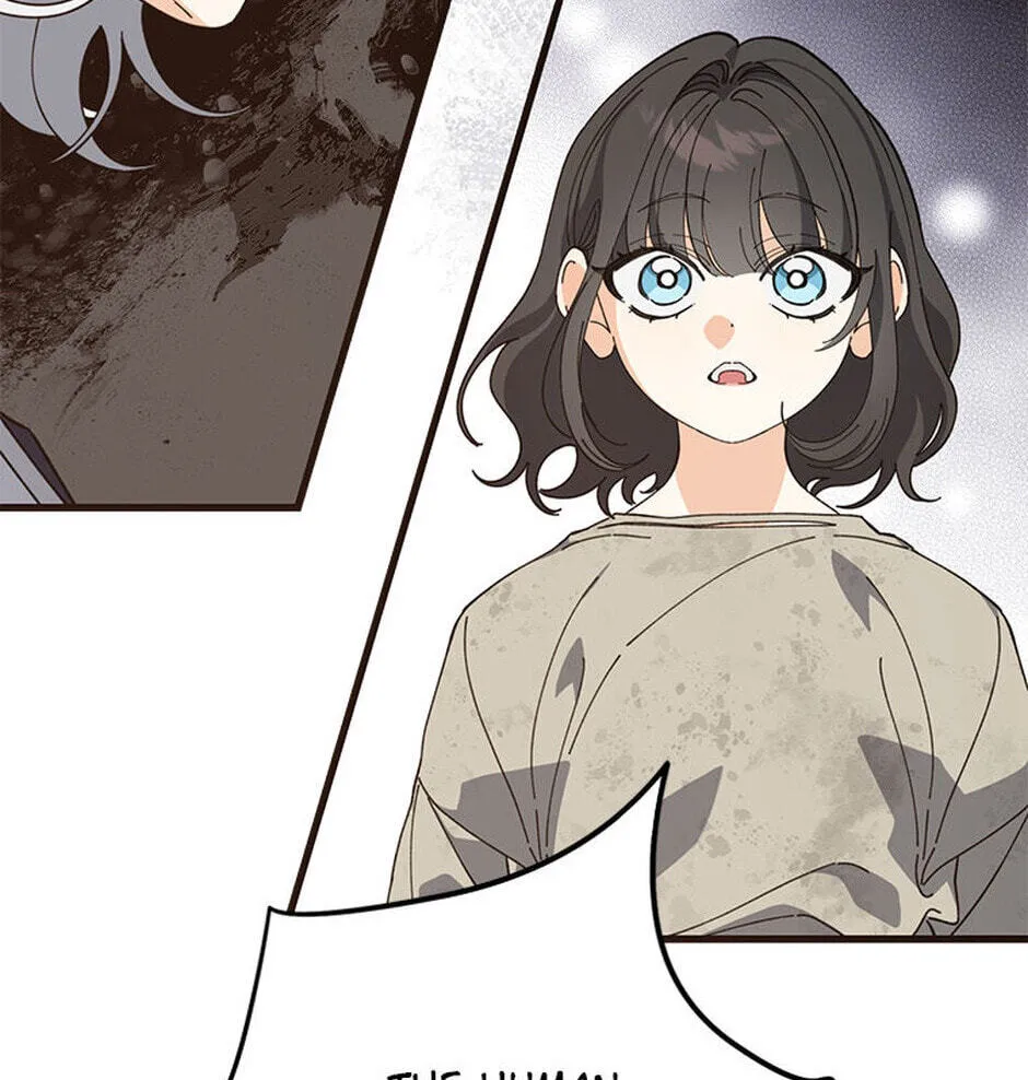 In Holy Acrimony Chapter 84 page 71 - 