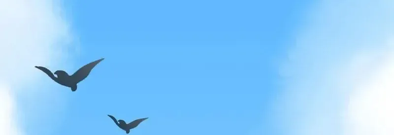 In or Out Chapter 184 page 69 - 