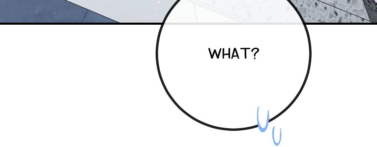 In Session Chapter 12 page 257 - 