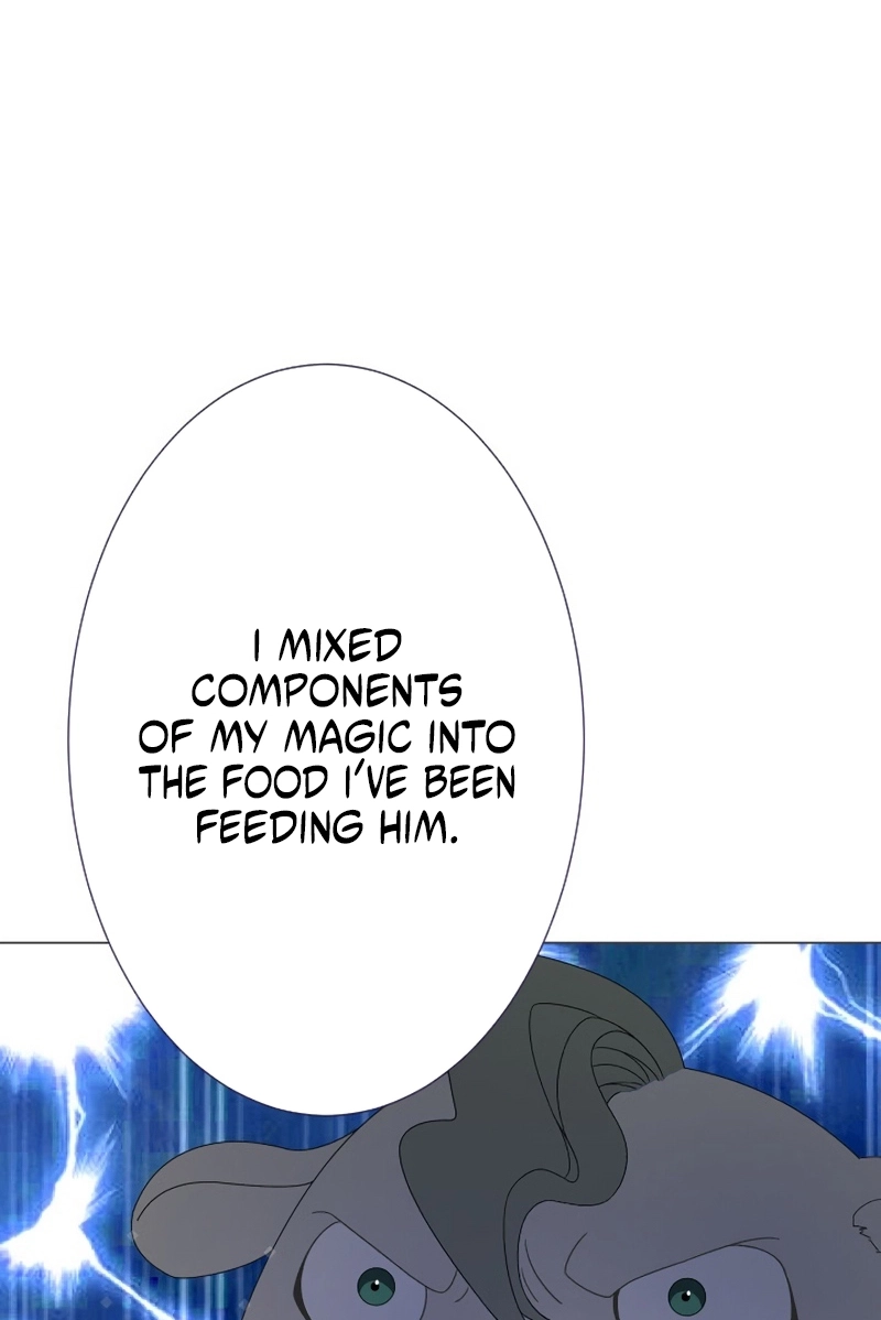 In the Altered World, I Will Become a Saint for You Chapter 19 page 69 - 