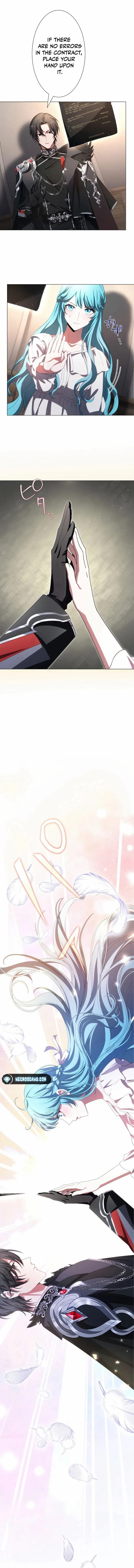 In the Altered World, I Will Become a Saint for You Chapter 3 page 14 - 