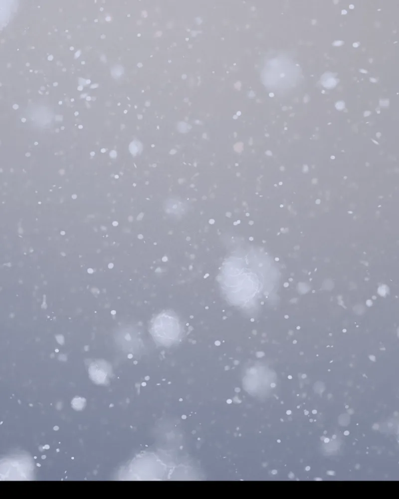 In the Bleak Midwinter; Chapter 109 page 2 - 