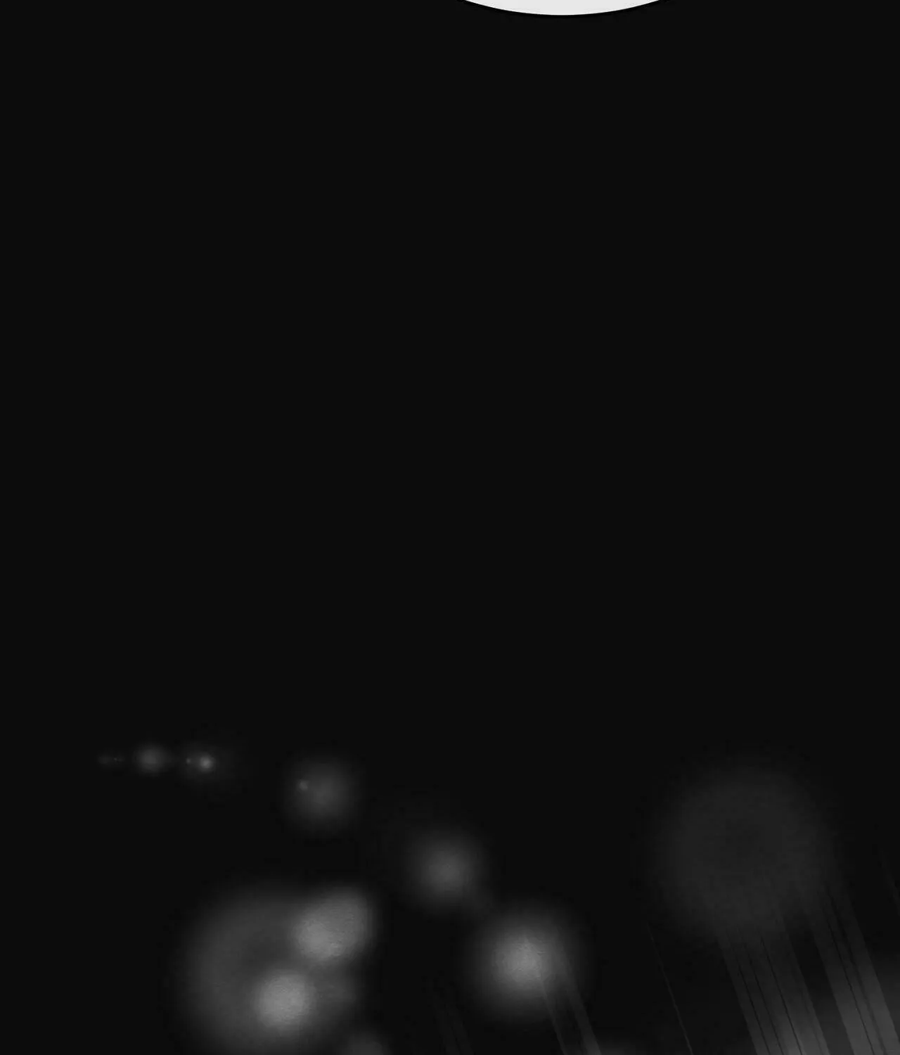 In the Dark Night, the Silver Moon Shines Coldly Chapter 14 page 4 - 