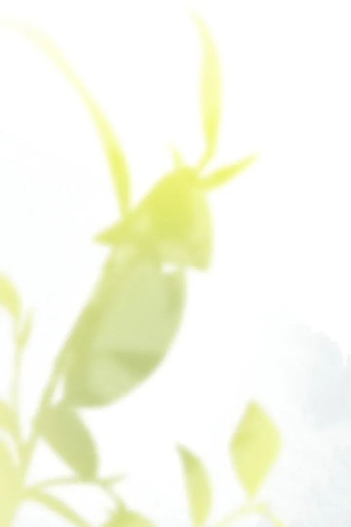 In the Dark Night, the Silver Moon Shines Coldly Chapter 32 page 75 - 
