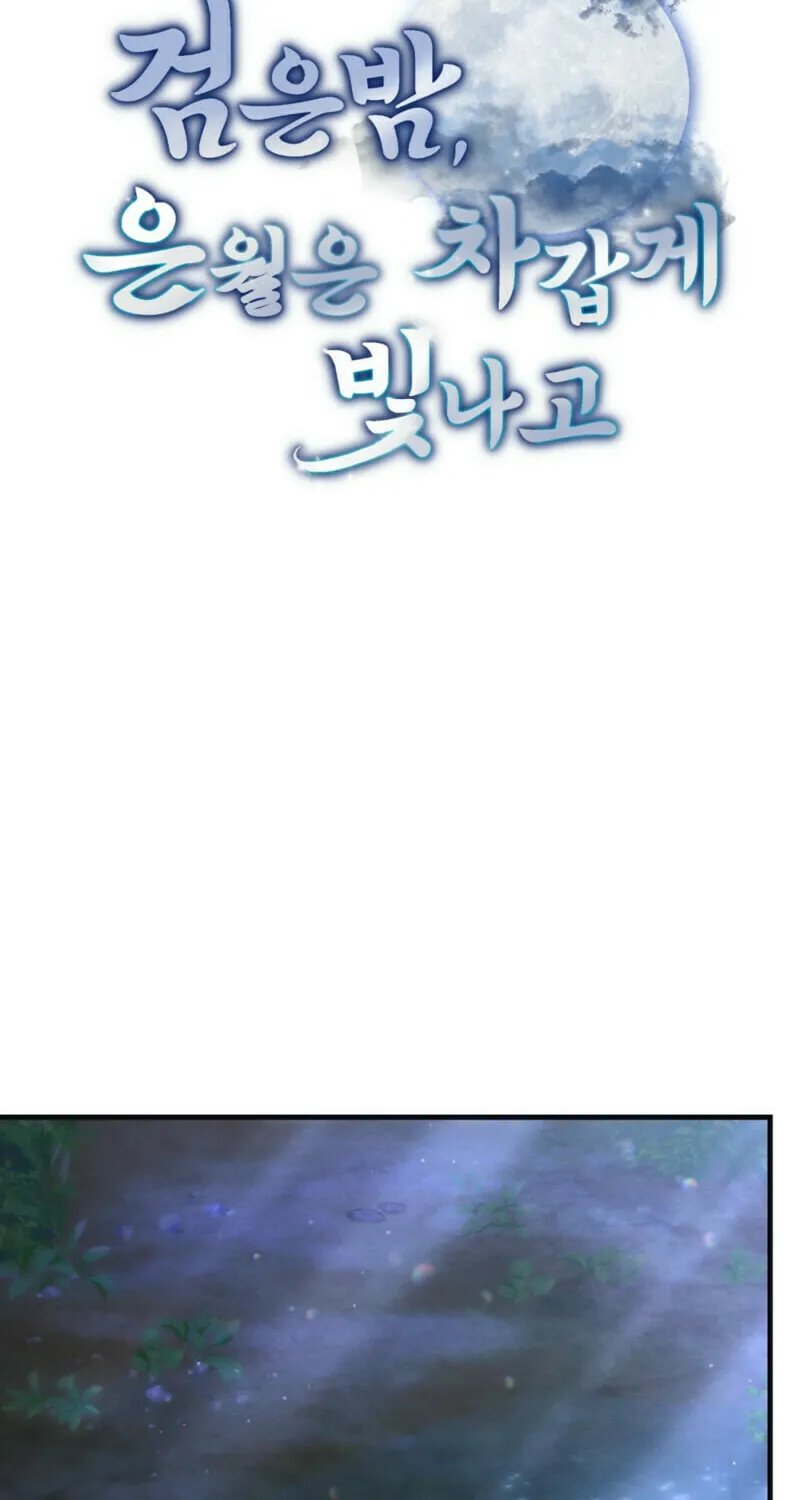 In the Dark Night, the Silver Moon Shines Coldly Chapter 6 page 11 - 