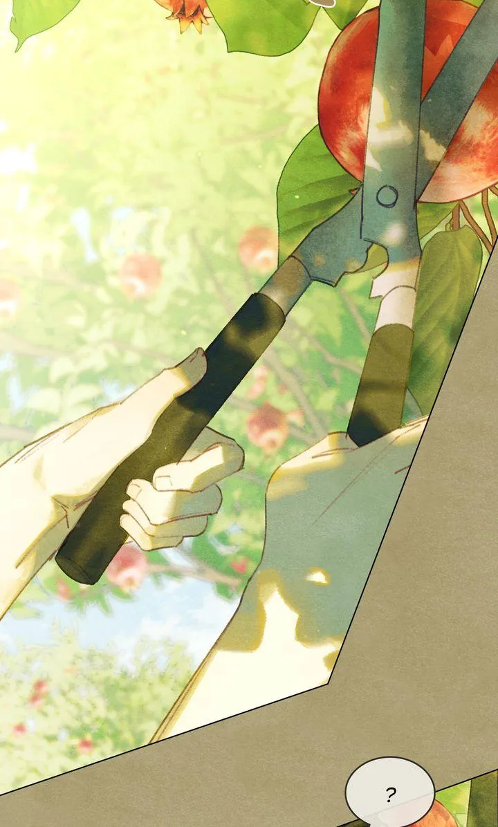 In the Garden of May Chapter 4 page 11 - 