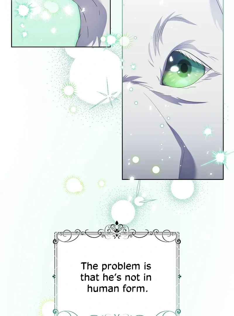 In the Grasp of a Loving Yet Possessive Male Lead Chapter 13 page 88 - 