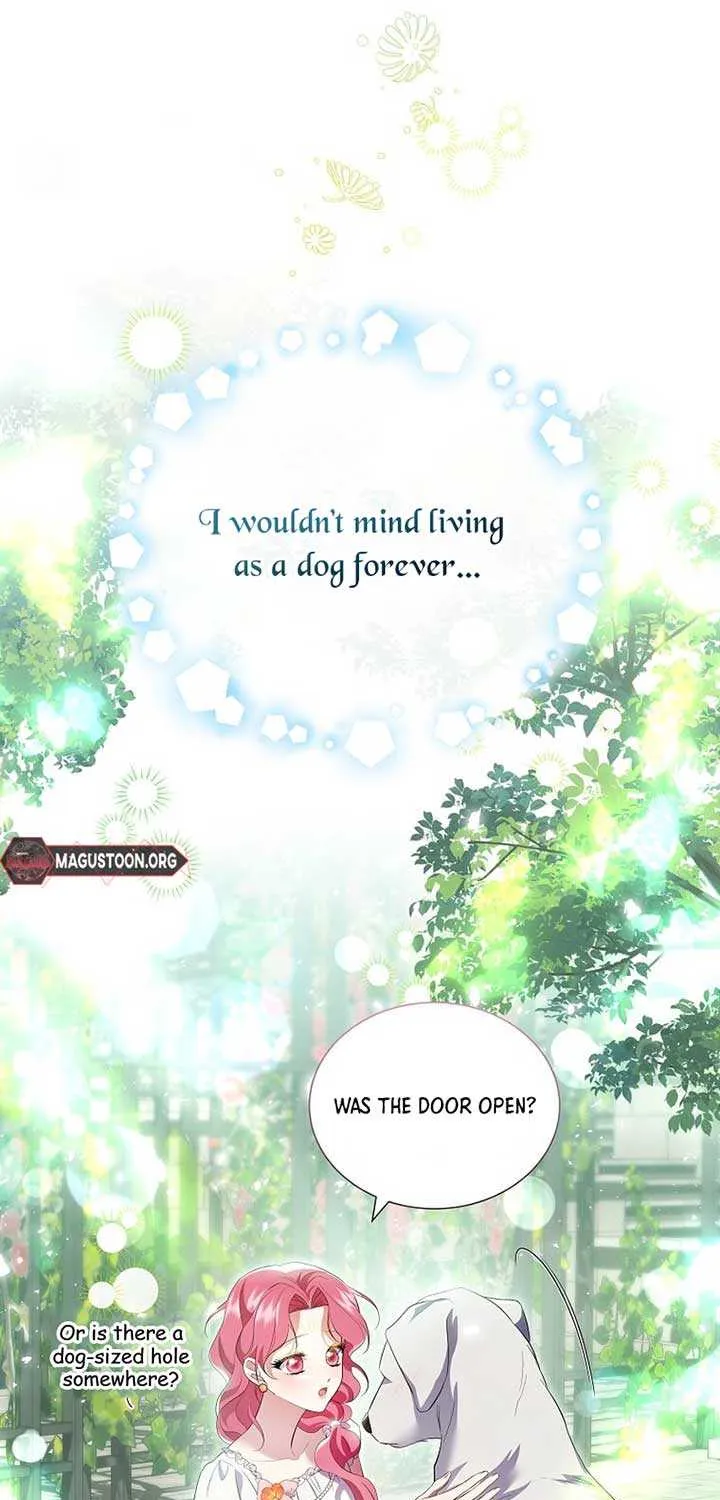 In the Grasp of a Loving Yet Possessive Male Lead Chapter 14 page 13 - 