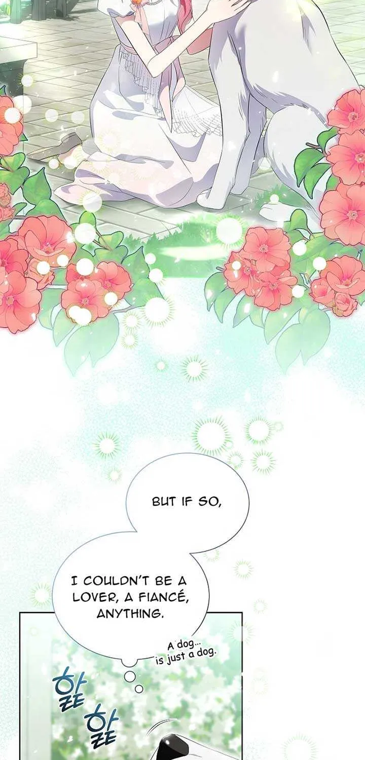 In the Grasp of a Loving Yet Possessive Male Lead Chapter 14 page 14 - 