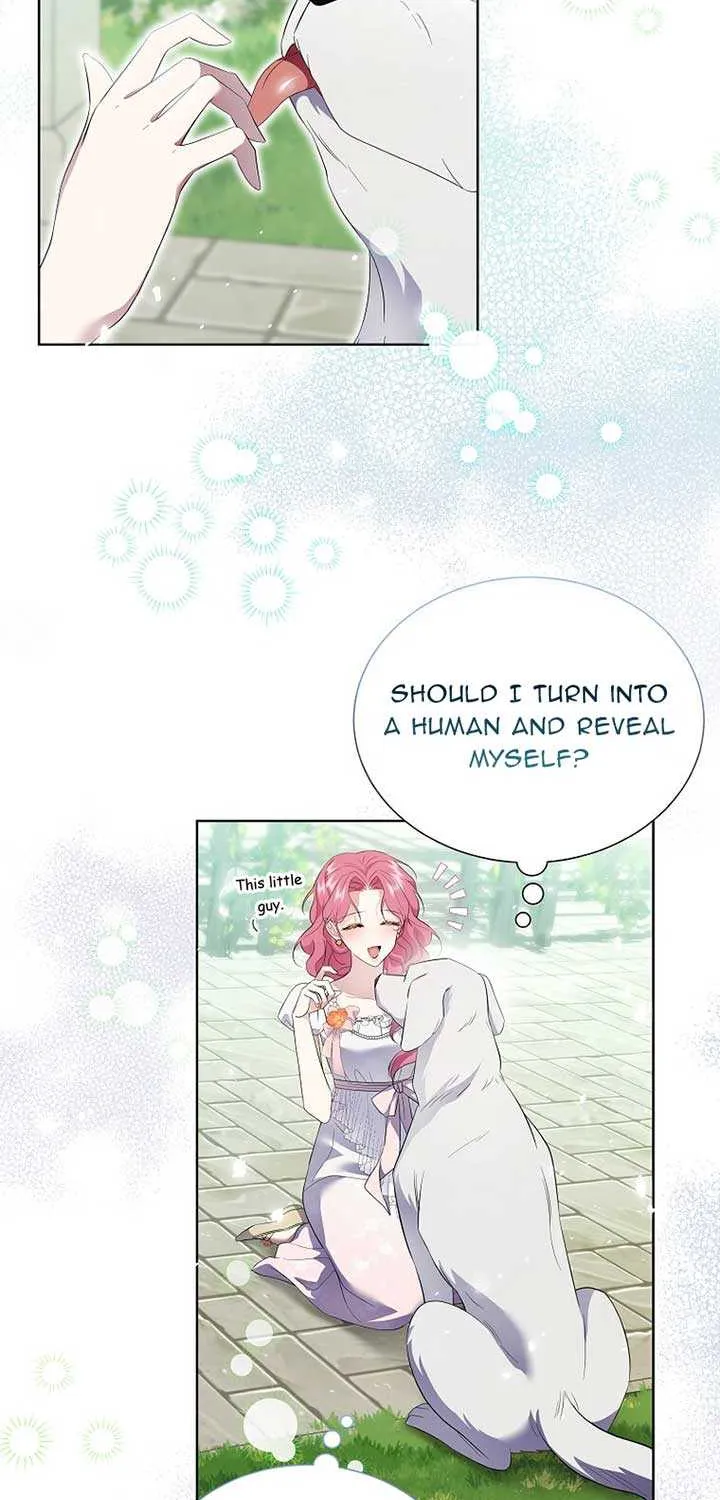 In the Grasp of a Loving Yet Possessive Male Lead Chapter 14 page 15 - 