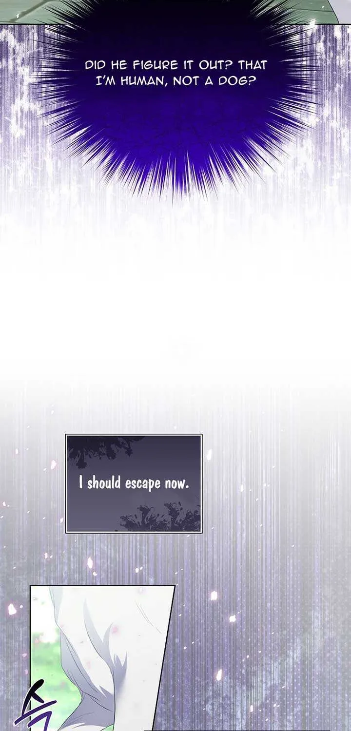In the Grasp of a Loving Yet Possessive Male Lead Chapter 14 page 27 - 