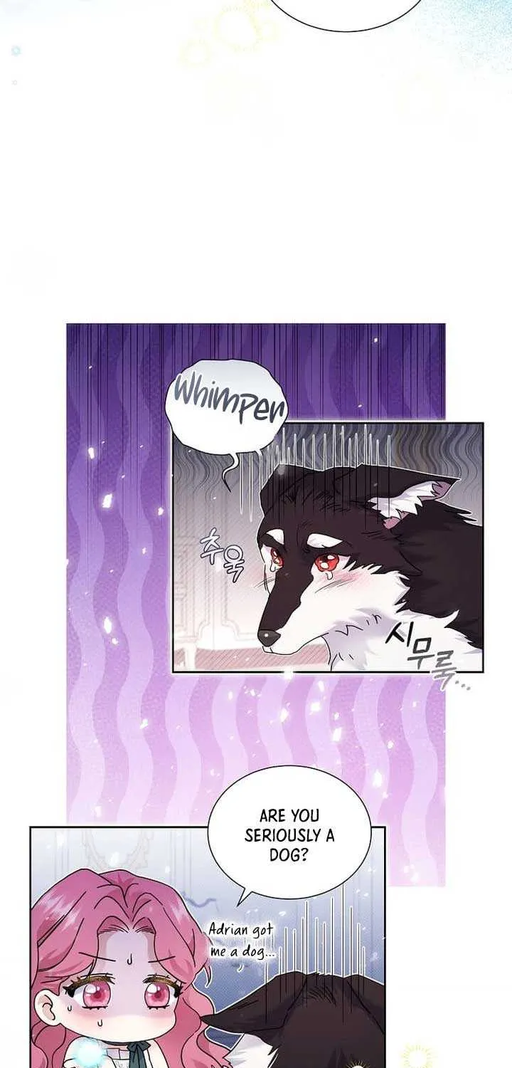 In the Grasp of a Loving Yet Possessive Male Lead Chapter 3 page 56 - 