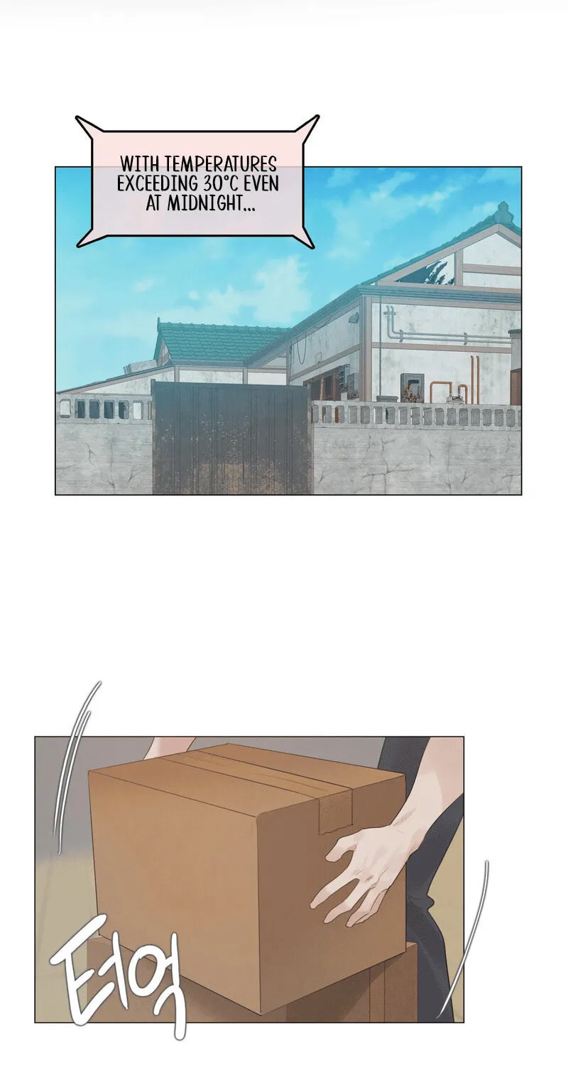 In the Season When Sunflowers Whisper Chapter 1 page 20 - 