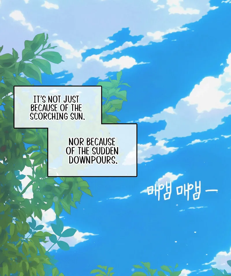 In the Season When Sunflowers Whisper Chapter 1 page 3 - 